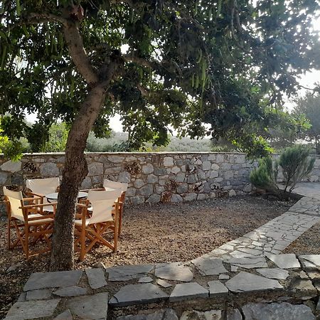 The Two Carob Trees, Traditional Stonehouse, Nikandri, Pirgos Diros Apartment Lefkias Exterior foto