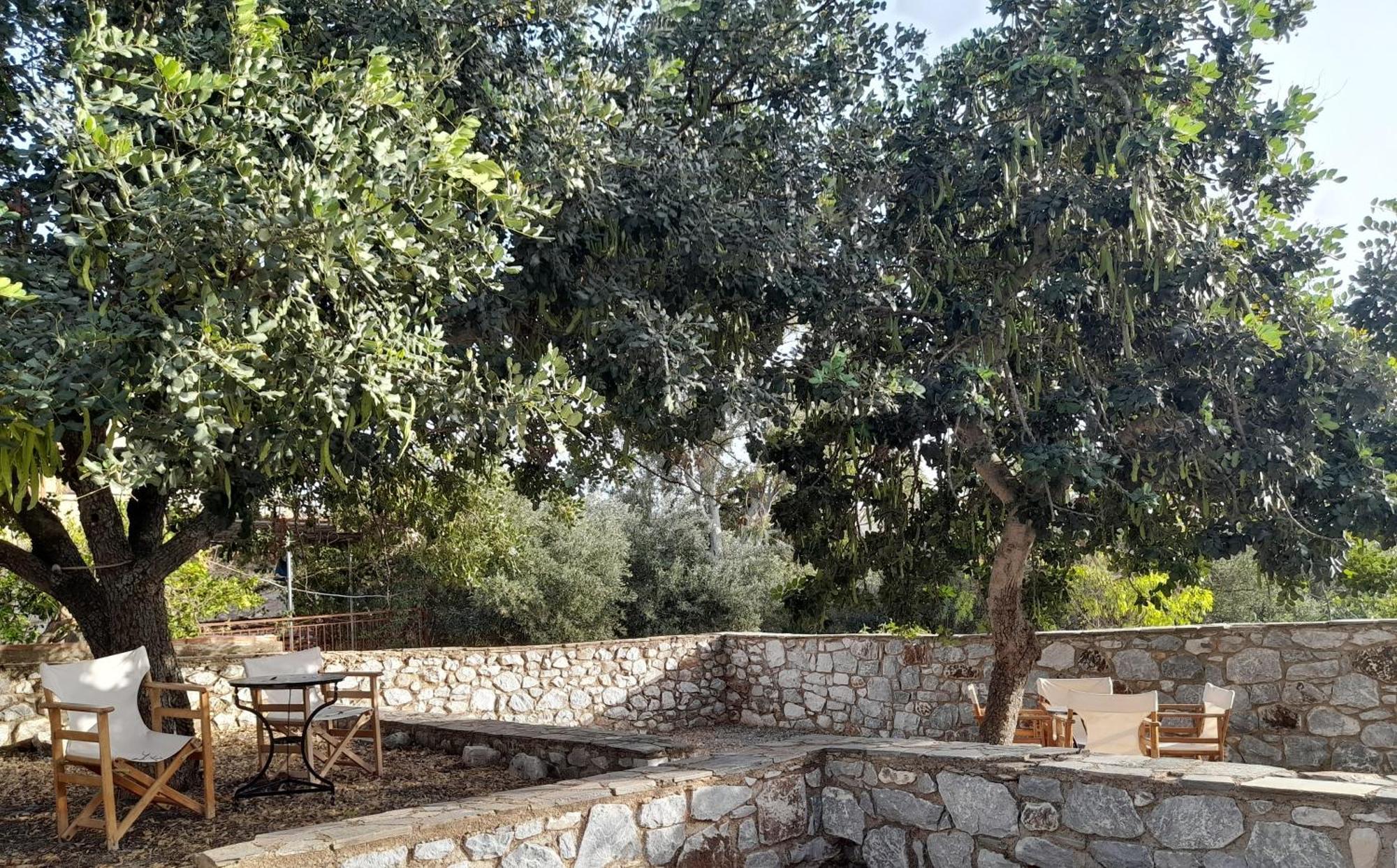 The Two Carob Trees, Traditional Stonehouse, Nikandri, Pirgos Diros Apartment Lefkias Exterior foto
